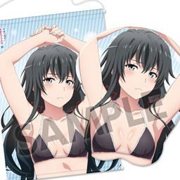 【HS限定】果然我的青春戀愛喜劇搞錯了。立體滑鼠墊 附B2掛軸限定版