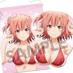 【HS限定】果然我的青春戀愛喜劇搞錯了。立體滑鼠墊 附B2掛軸限定版