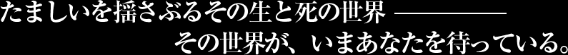 たましいを揺さぶるその生と死の世界― その世界が、いまあなたを待っている。